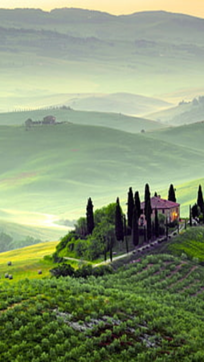 pienza-tuscany-italy-spring-scenery-fields-trees-morning-fog-green-wallpaper-thumb